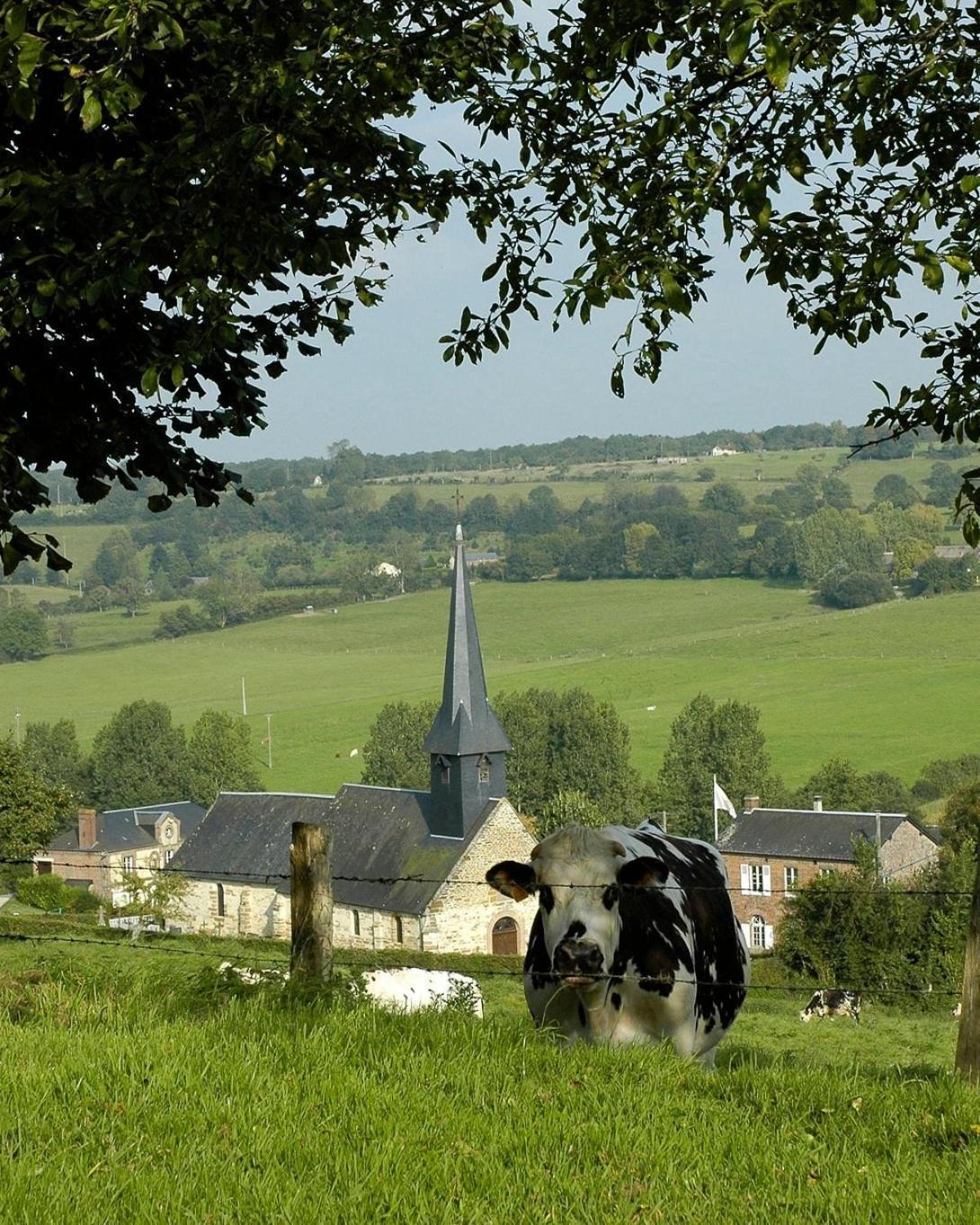 Hébergements Insolites dans tonneaux - Gite Le Coup de Foudre Vimoutiers Exterior foto